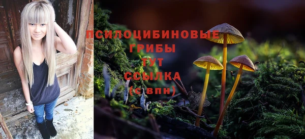 герыч Абинск