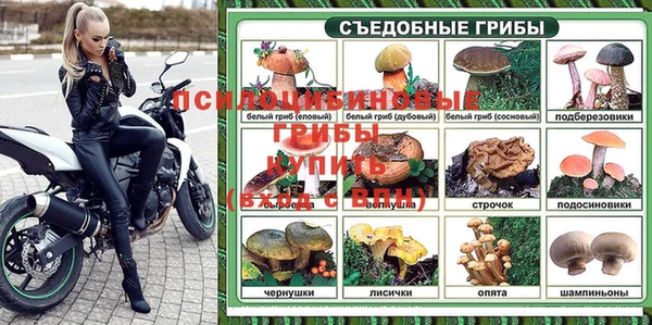дмт Алзамай