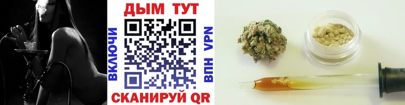 продажа наркотиков  Нолинск  Бошки марихуана план 